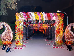 Tent house in Wazirabad