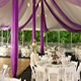 Wedding Tent
